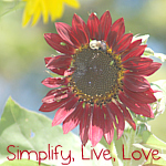 Simplify, Live, Love