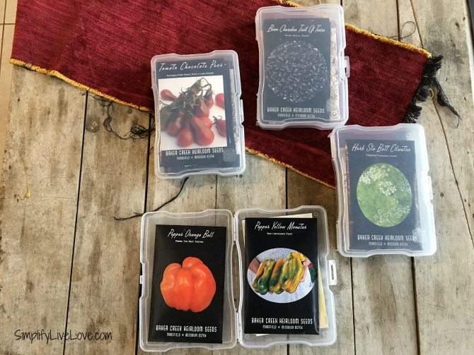 The 5 Best Seed Organizers to Keep Your Seeds in Order - Minneopa Orchards