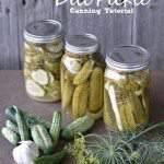 Dill Pickle Canning Tutorial for a crunchy, spicy dill pickle from SimplifyLiveLove.com
