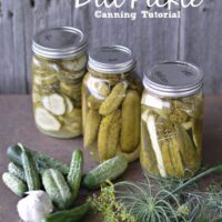 Dill Pickle Canning Tutorial for a crunchy, spicy dill pickle from SimplifyLiveLove.com