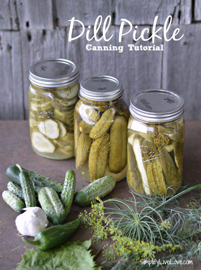 Dill Pickles Canning Tutorial + Grandma's Secret Recipe Simplify Live