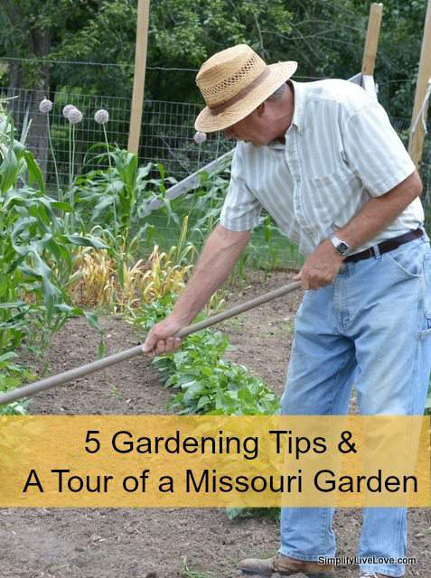 5 Gardening Tips