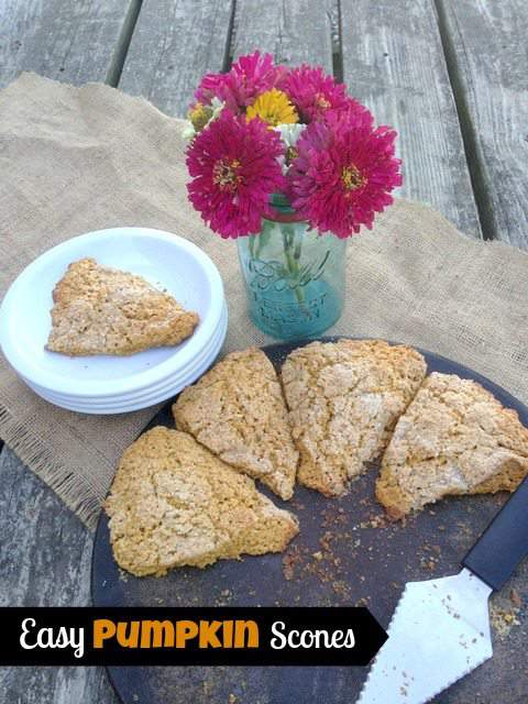 Easy Pumpkin Scones - One of our favorite family breakfasts! - Simplify ...