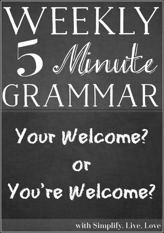 Is it Your Welcome or You're Welcome? If you're second guessing which one is the proper English grammar usage, double check with this quick 5 minute grammar lesson!