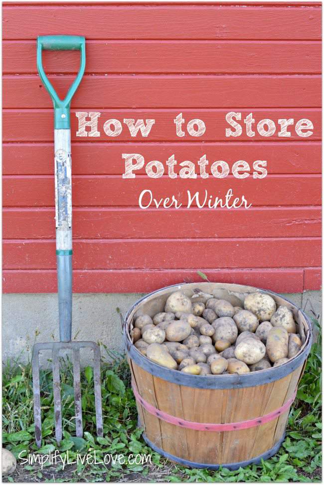 How To Store Potatoes Over Winter Simplify Live Love