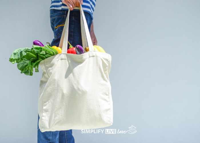 woman carrying canvas cloth bag full of fresh vegetables