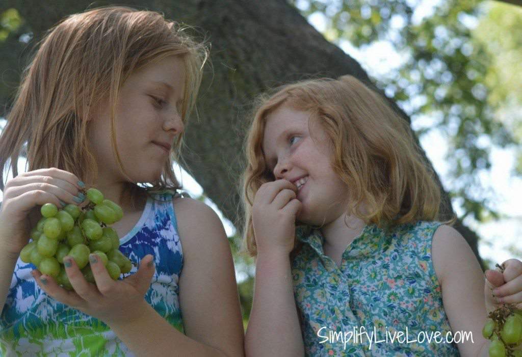 Back to School Lunch Box FROZEN Printables & Grapes dear sisters from SimplifyLiveLove.com