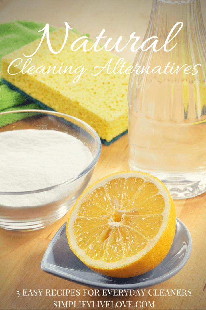Natural Cleaning Alternatives & 5 Easy Recipes for Everyday Cleaners ...