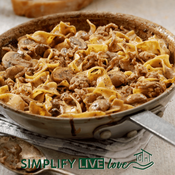 Ground Beef Stroganoff for the Freezer - delicious meal that freezes well. Easy recipe to double and save for a busy night. From SimplifyLiveLove.com