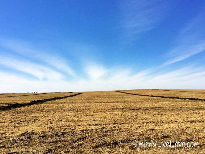 Franklin Co. Iowa - farm sky view