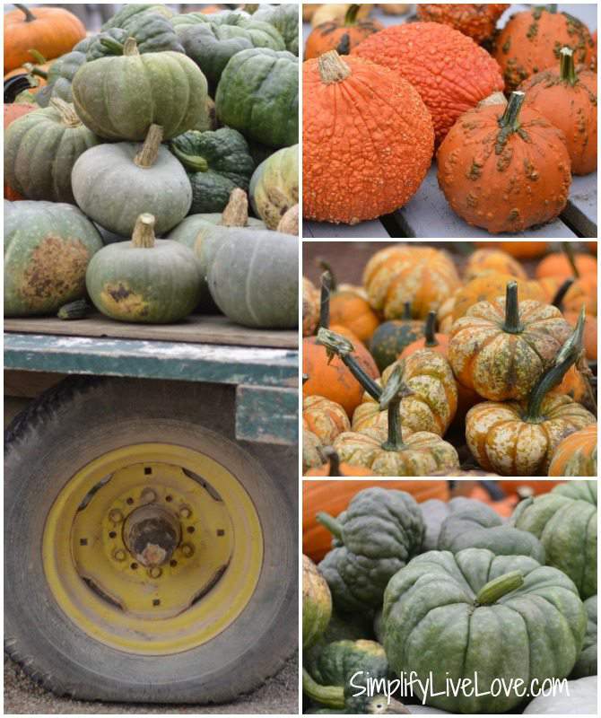 Harriman Nielsen Historic Farm Fall Festival - #FranklinCoHarvest