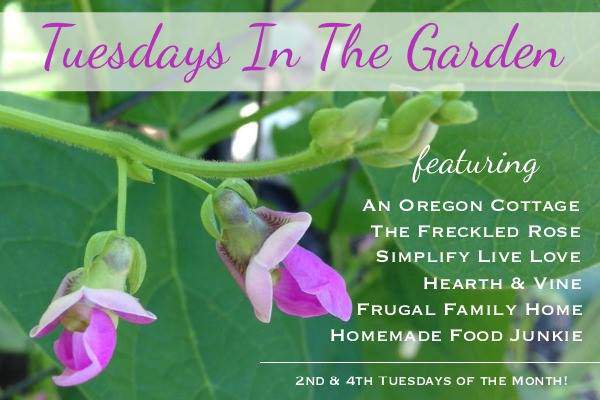 Updated-Tuesdays-in-the-Garden