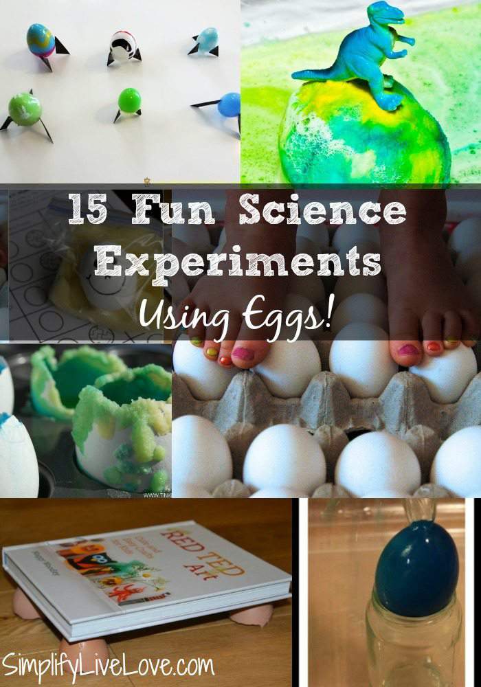 Fun Science Experiments