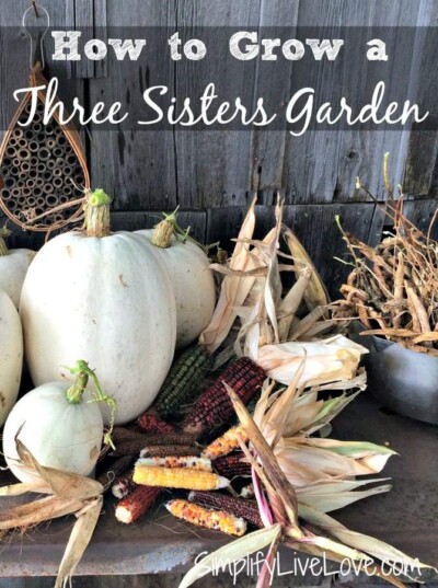 From Seed to Harvest: How to Grow a Three Sisters Garden - Simplify ...