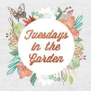Tuesdays in the Garden