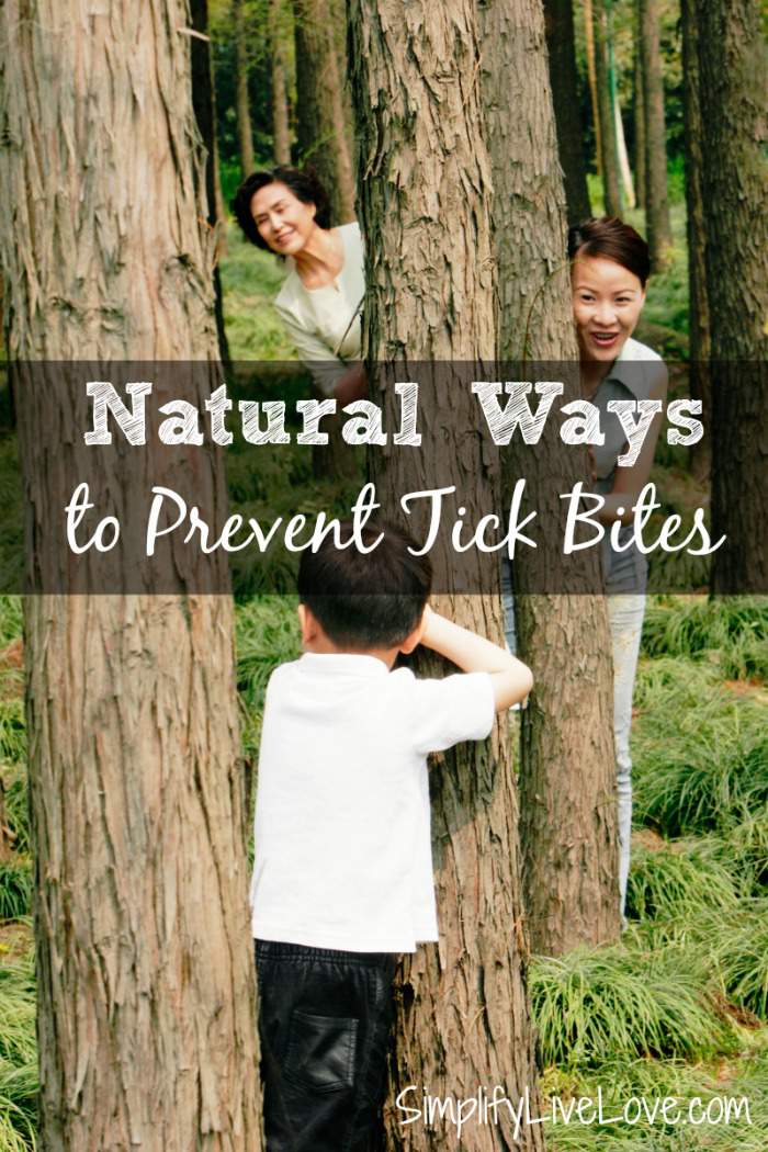 Natural ways to prevent tick bites