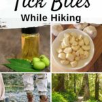 pinterest collage with words "prevent tick bites while hiking" and collage of neem oil, garlic, hiking boots, and a hiking trail