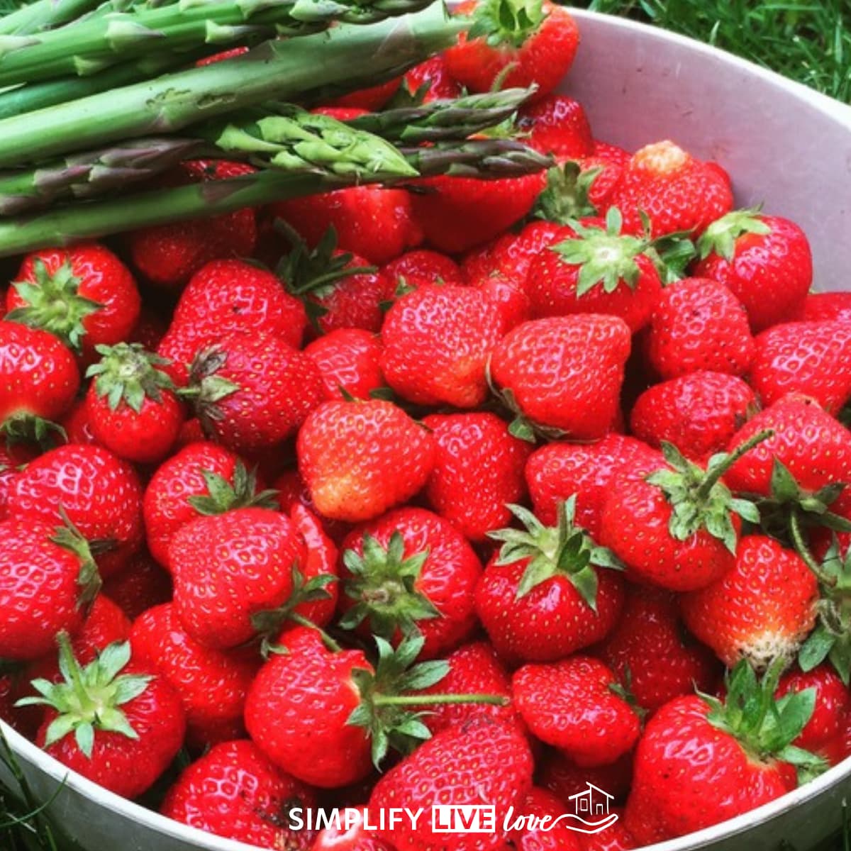 bowl full of fresh strawberries