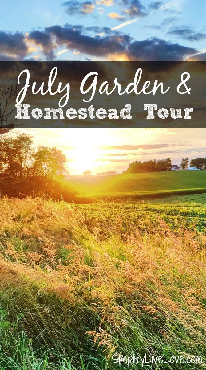 July Garden & Homestead Tour