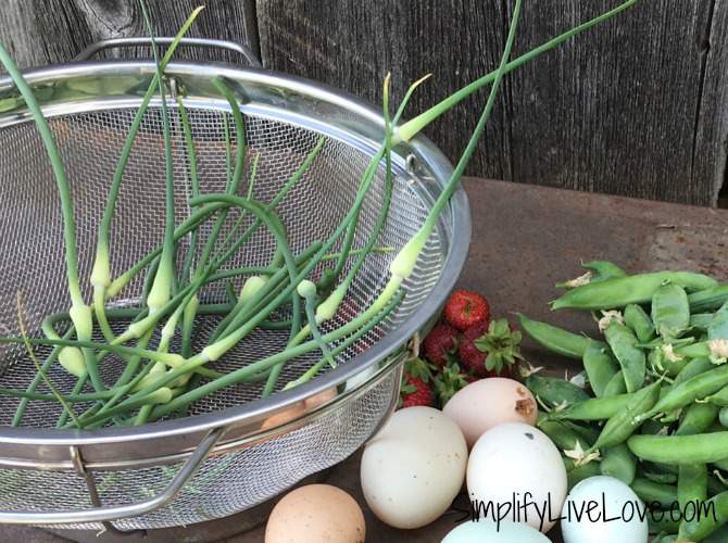 garlic scapes