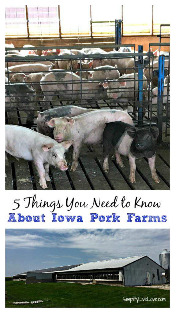 5 Things You Need to Know About Iowa Pork Farms Simplify, Live, Love