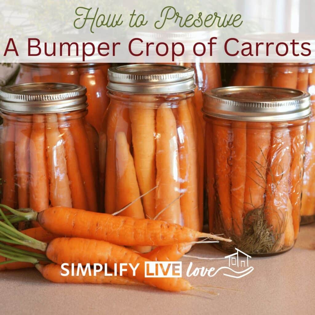How to Preserve a Bumper Crop of Carrots Simplify Life Love