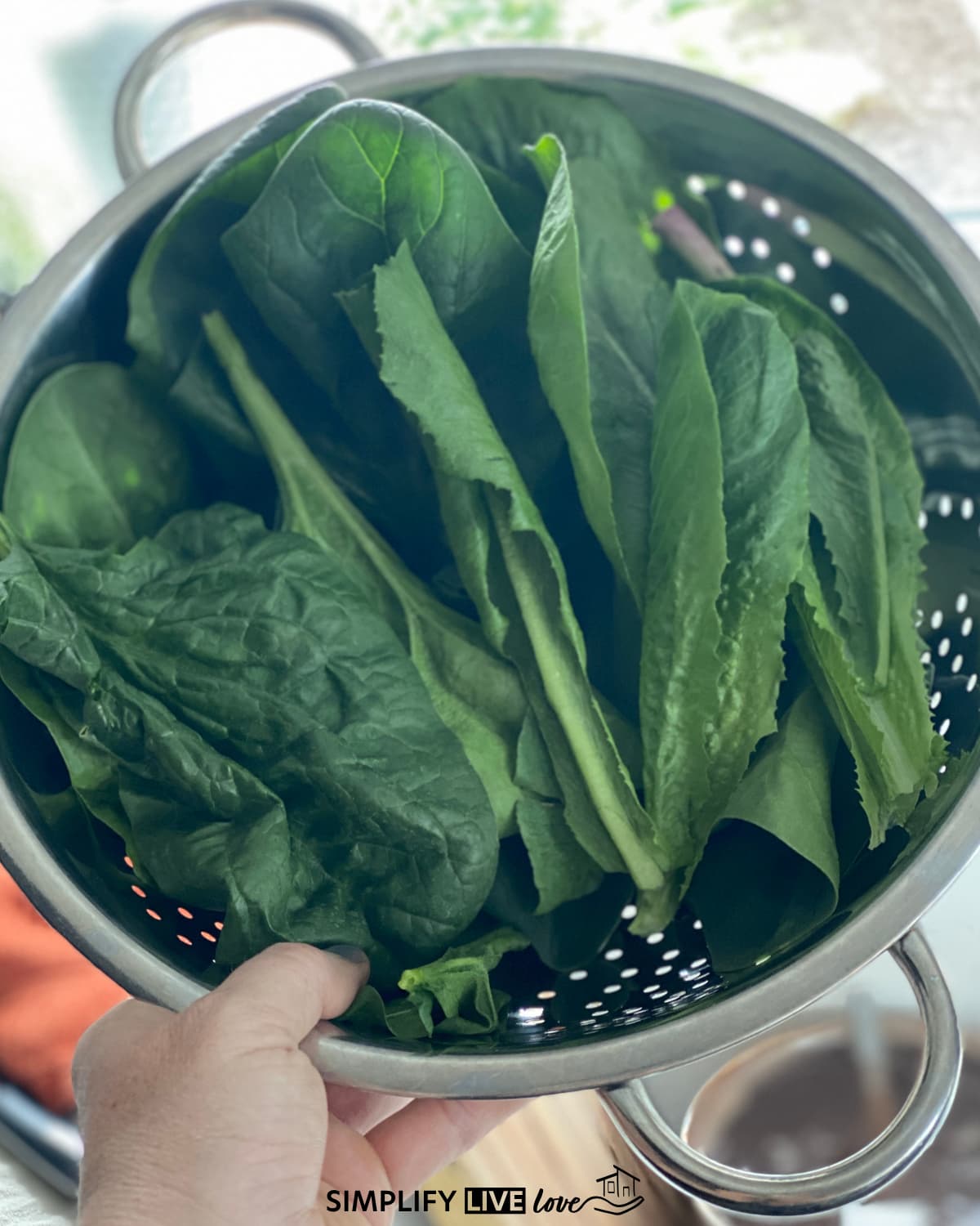 cold hardy greens you can still plant in Aug Sept in a zone 5 garden