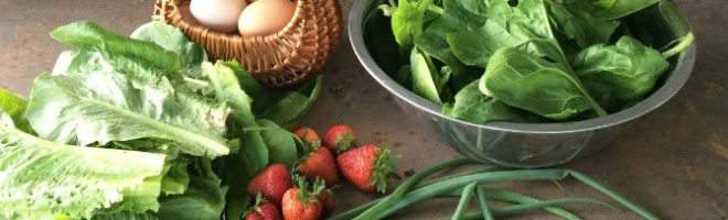 top 10 plants for early spring harvest