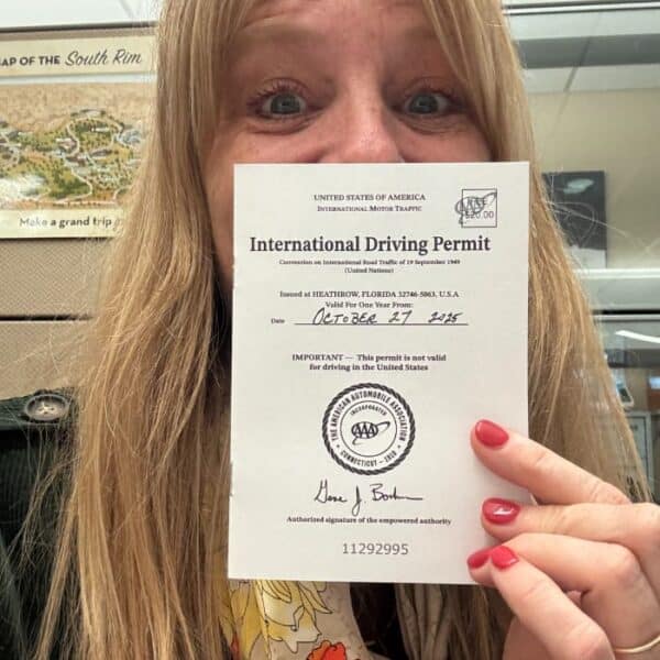 international driving permit (1)