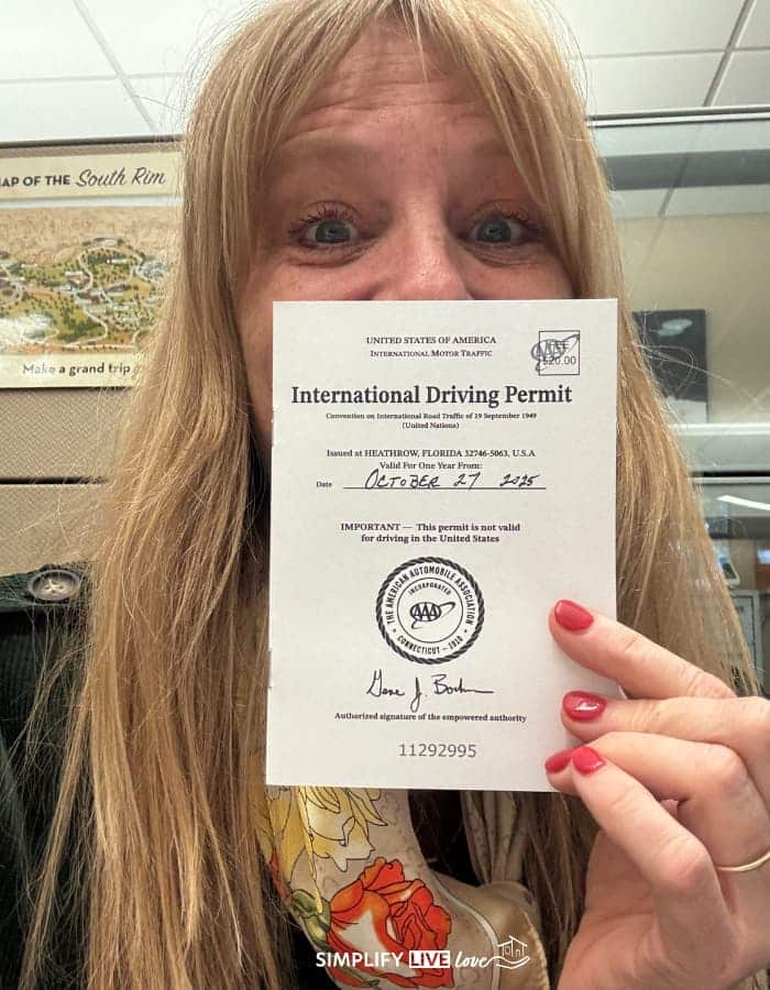 international driving permit (1)