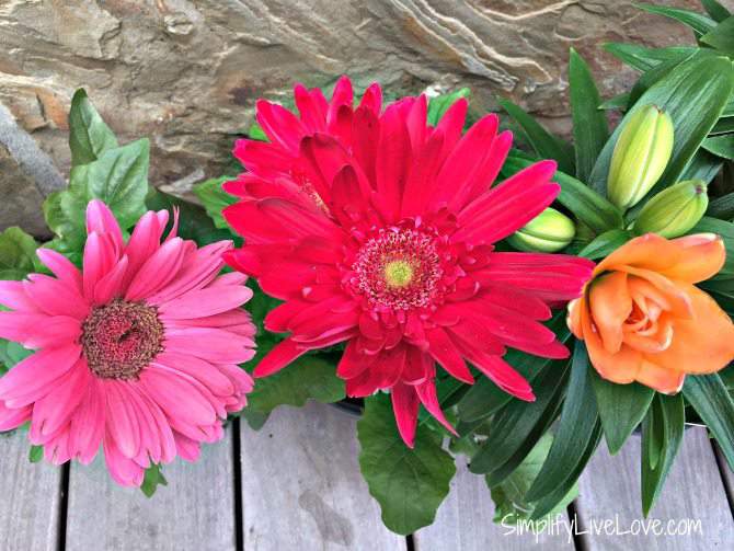 Colorful Cutting Flower Container Garden