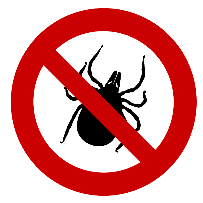 Steps you should take if you are bitten by a tick.