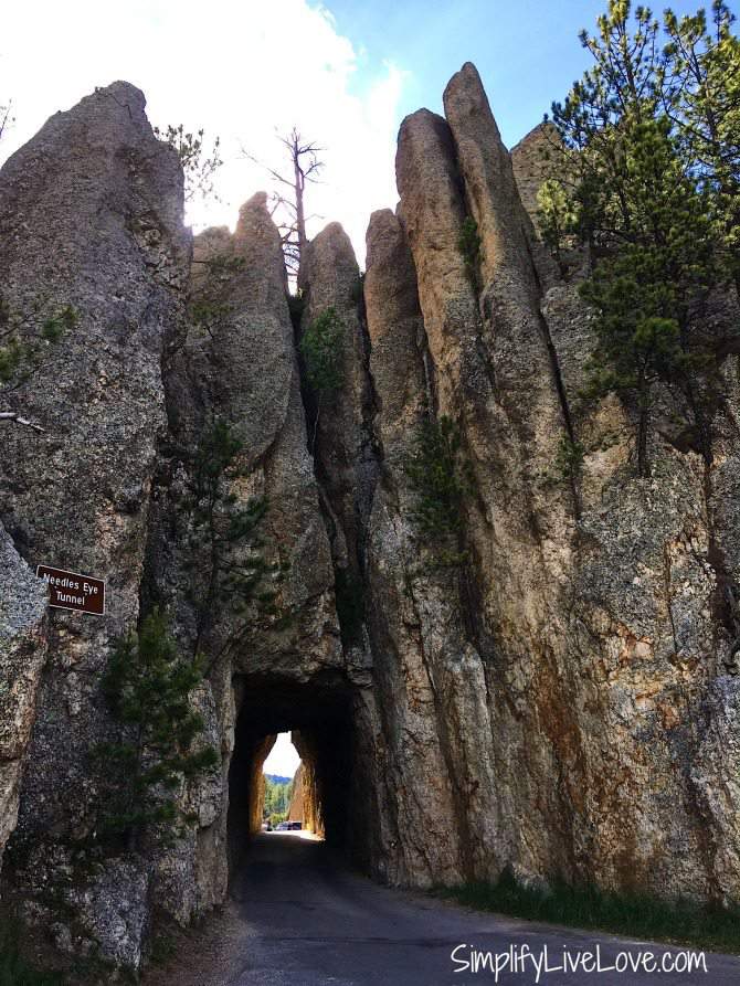 Two Amazing Drives to Take at Custer State Park, South Dakota