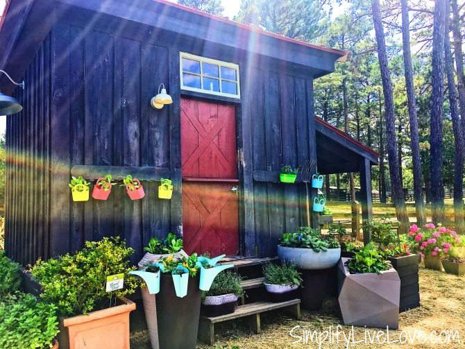 garden shed at moss mountain farm