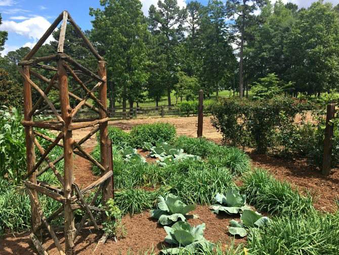 simple wooden support structure at Moss Mountain Farm