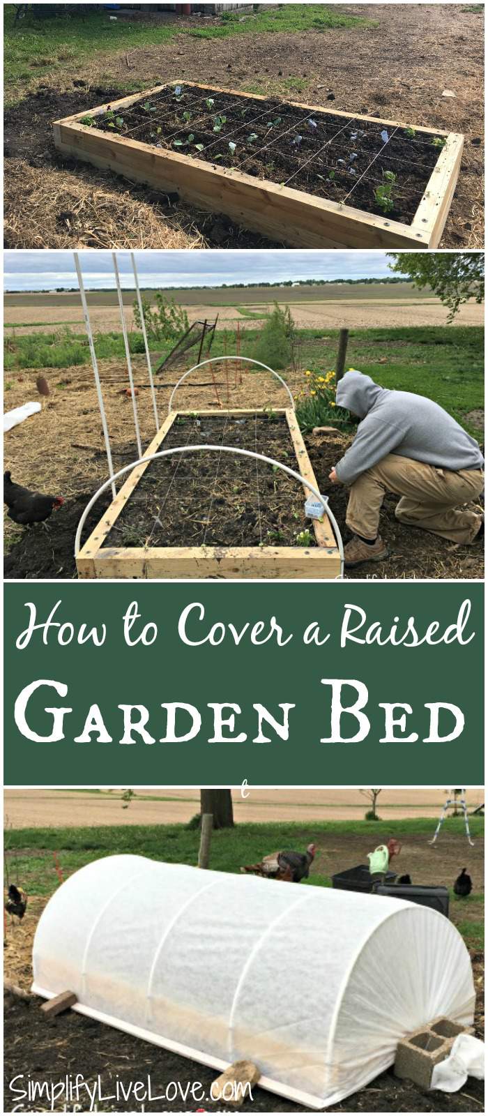 How to cover a raised garden bed to protect against insects and also to extend your growing season. It's not super hard!