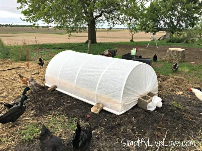 covered garden bed in a country garden