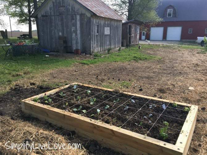 cover a raised garden bed