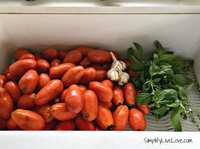 ingredients for homemade roasted tomato sauce