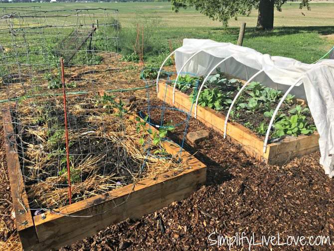 open cover on raised garden bed