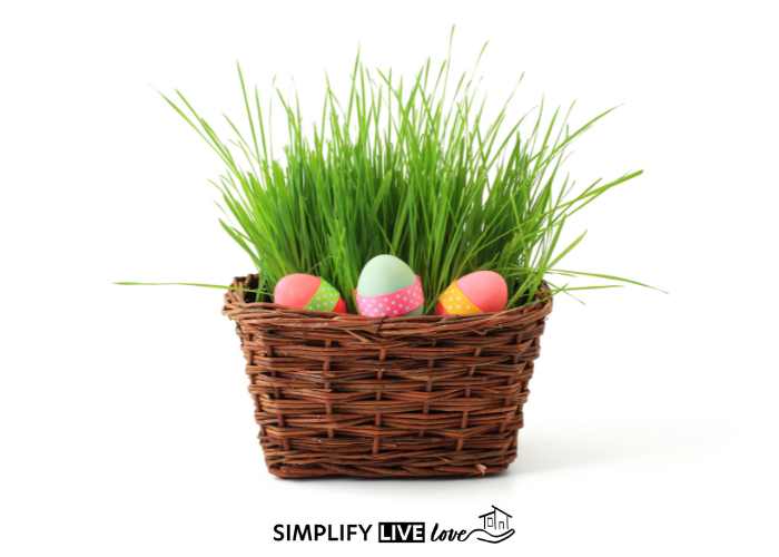 DIY Easter grass by growing wheat grass in basket with Easter eggs nestled in basket and grass