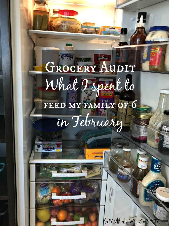 february grocery audit