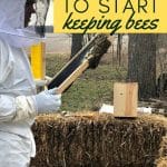 bee keeping