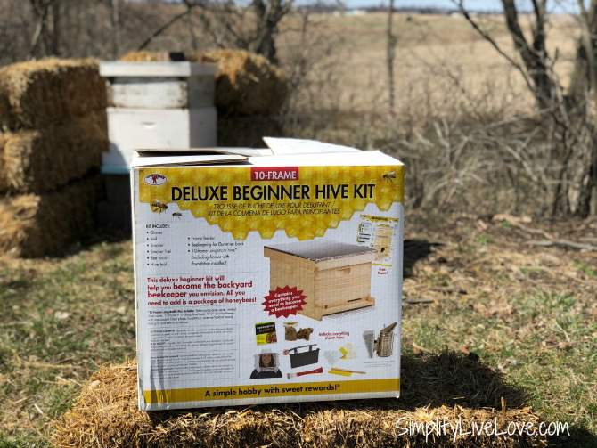 beginner beehive kit