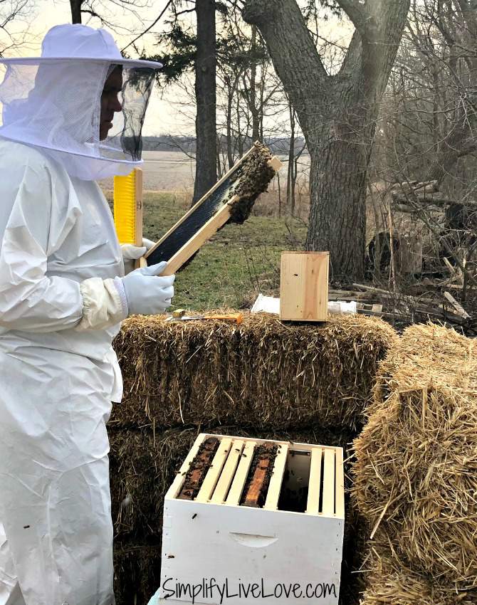 If you want to learn how to start beekeeping, here's a helpful list of beginning beekeeping supplies you'll need for beehive kits plus a few tips and tricks to survive the first week with your bees.