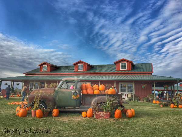 pumpkin patch orange city iowa