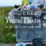 garbage dumpster - 15 ways to reduce your trash on the path to zero waste living