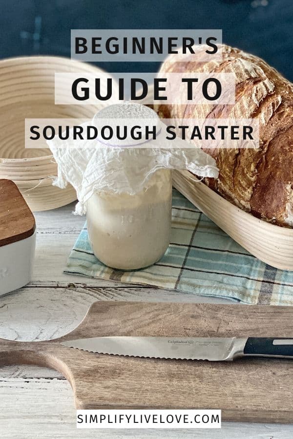 Your Beginner's Guide to Sourdough Starter