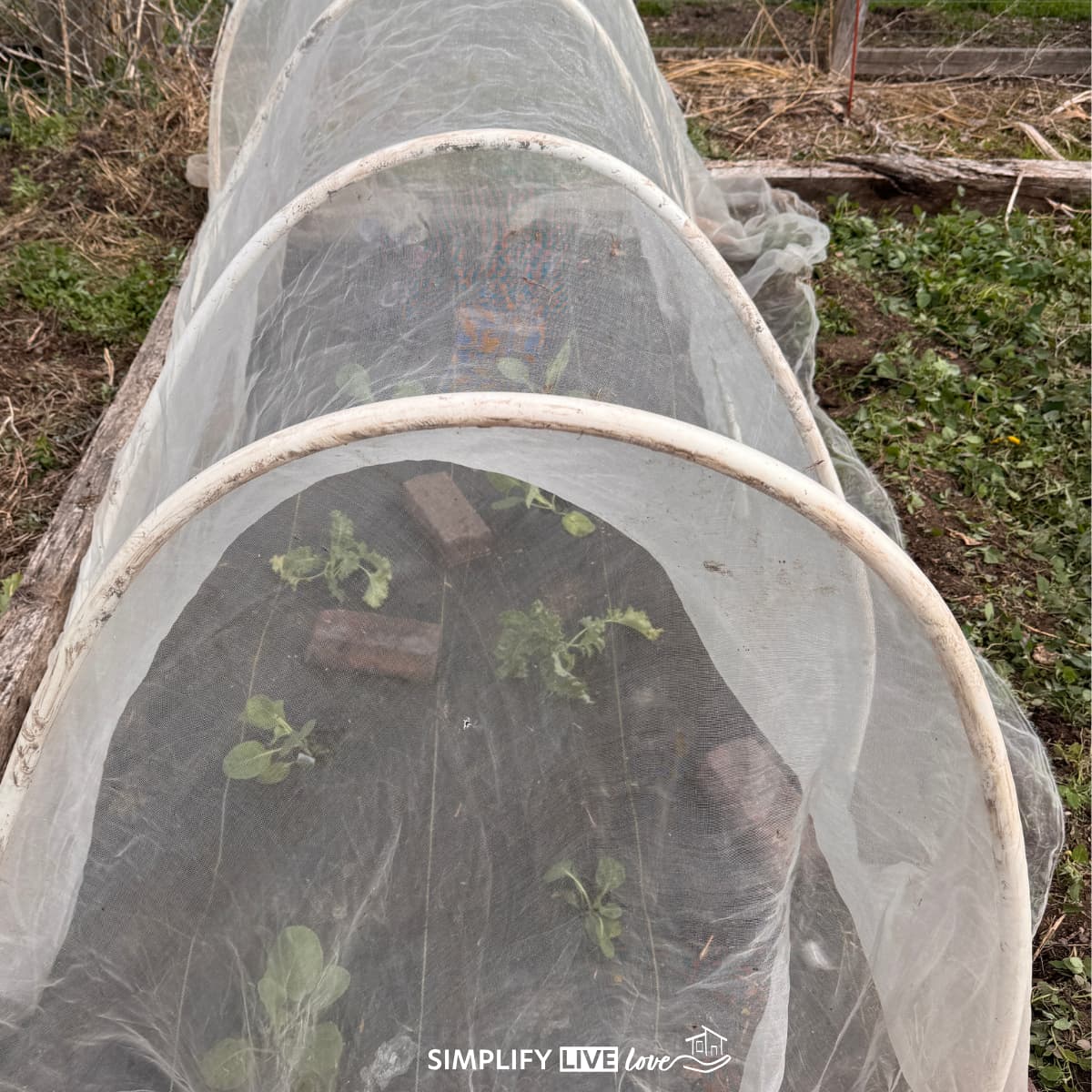 floating row cover in garden