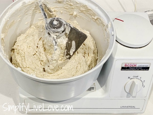 sourdough at beginning of autolyse